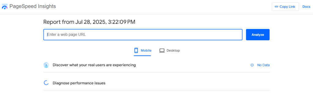 Page Speed Insights